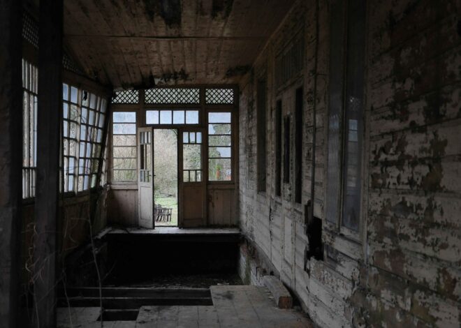 Guide to Rehabilitating Mold Issues of an Old House.